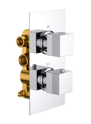 Bedgebury Double Outlet - Two Controls - Concealed Thermostatic Valve - Chrome 