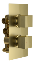 Bedgebury Double Outlet - Two Controls - Concealed Thermostatic Valve - Brushed Brass 